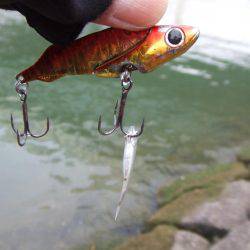 こんなところで漁船が・・・